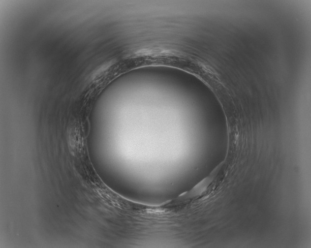 X0000052940966200507151639