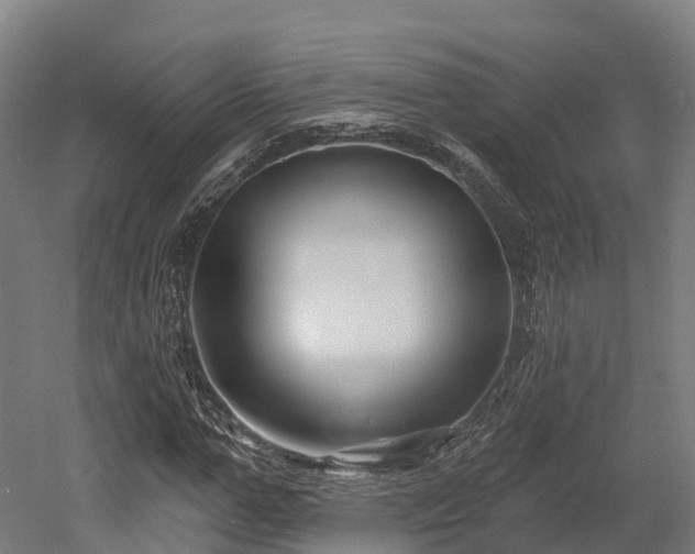 X0000052940967200507151639