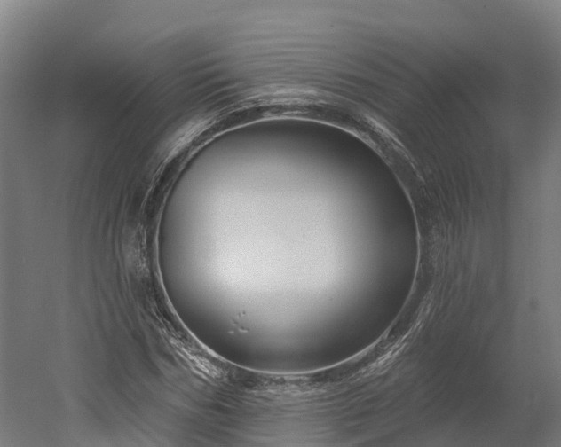 X0000052940970200507151639