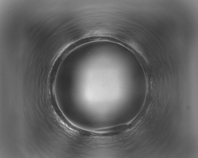 X0000052940972200507151639