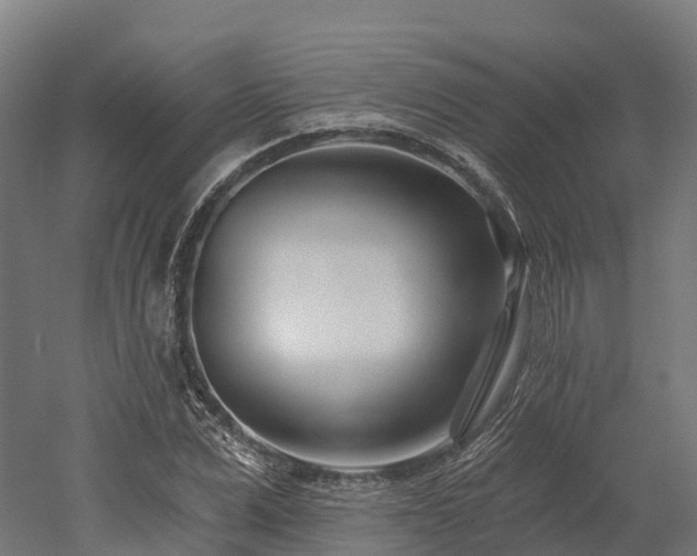 X0000052940975200507151639