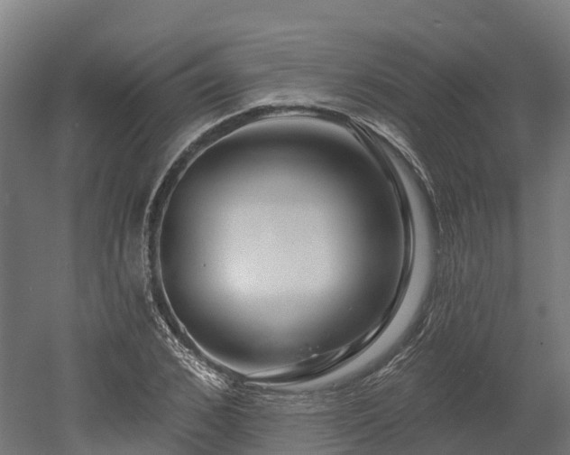 X0000052940976200507151638