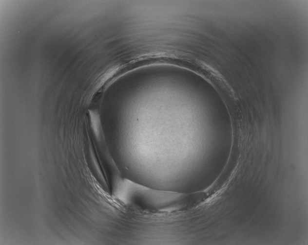 X0000052940977200507151638