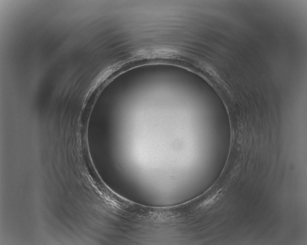 X0000052940978200507151638