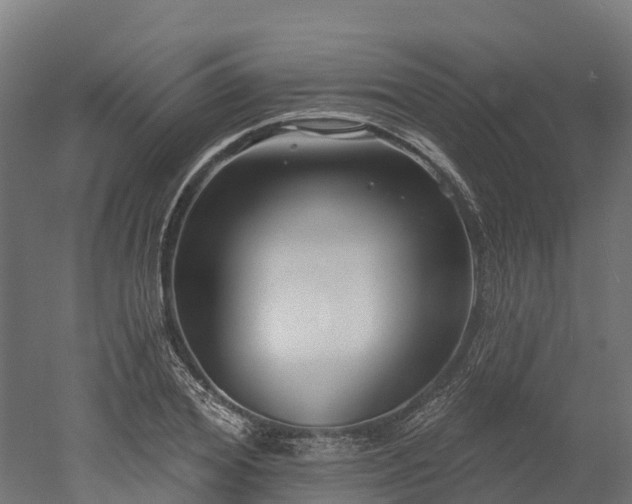 X0000052940980200507151638