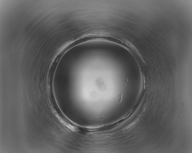 X0000052940981200507151638