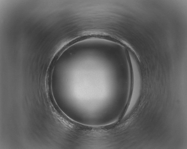 X0000052940983200507151638