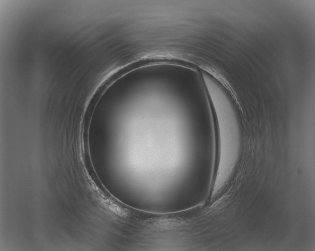 X0000052940984200507151638