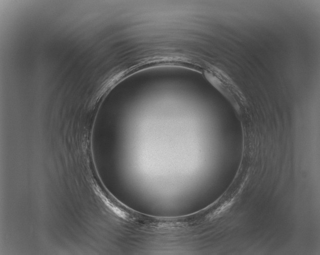 X0000052940985200507151638