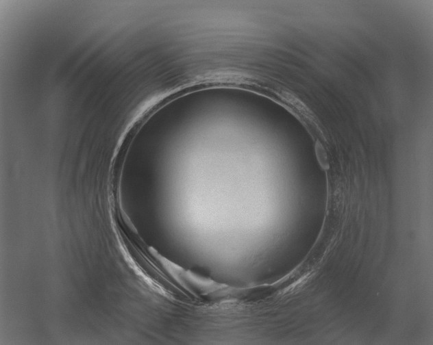 X0000052940989200507151638