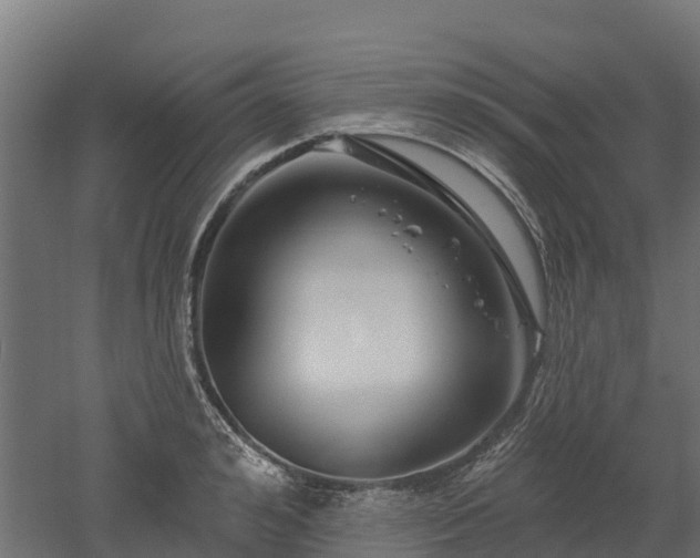 X0000052940992200507151638