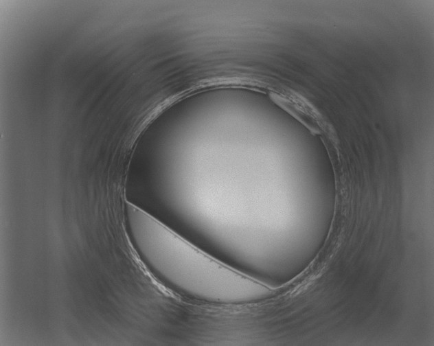 X0000052940993200507151638