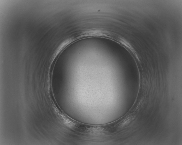 X0000052940994200507151638