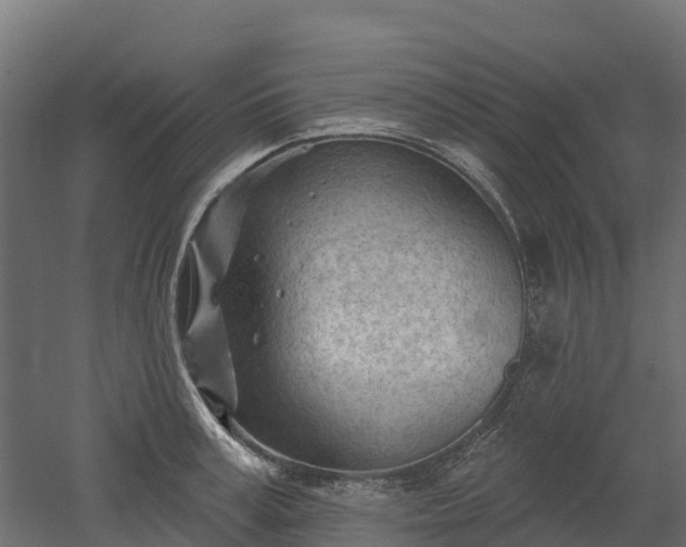 X0000052940995200507151638