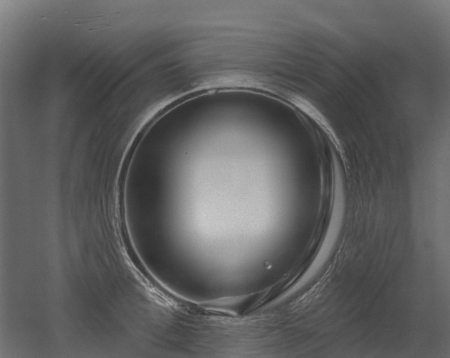 X0000052940996200507151638