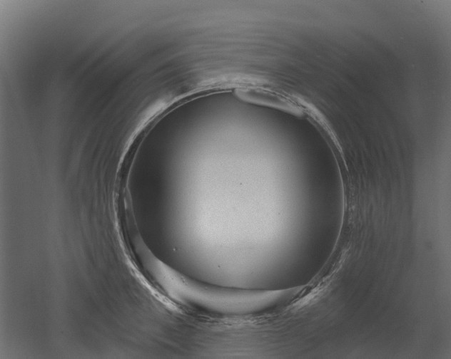 X0000052940997200507151638