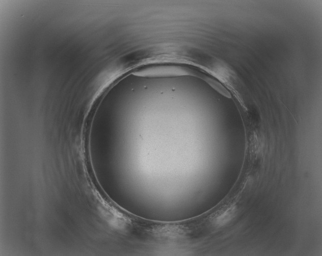 X0000052940998200507151638