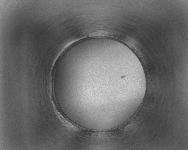 X0000052941000200507151638