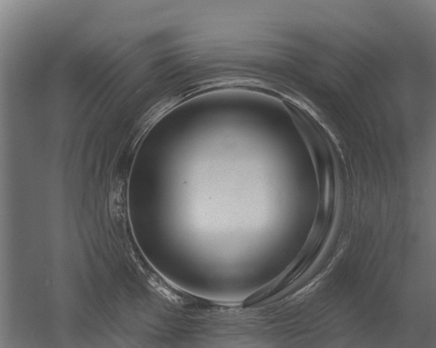 X0000052941001200507151638