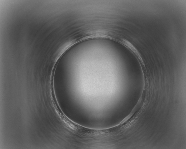 X0000052941002200507151638