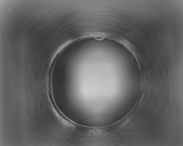 X0000052941003200507151638