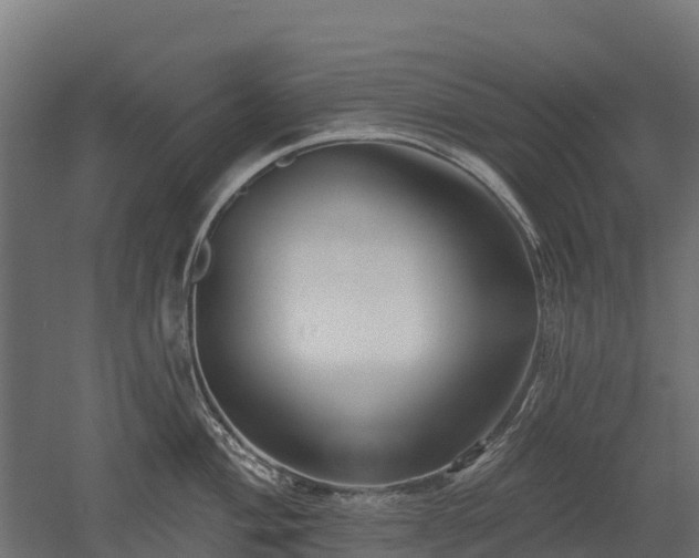 X0000052941004200507151638