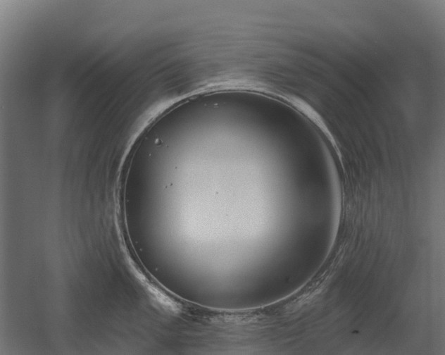 X0000052941005200507151638