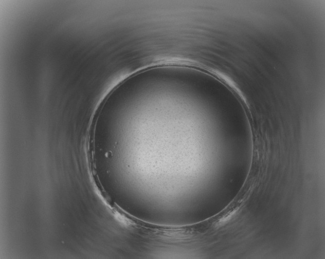 X0000052941007200507151638