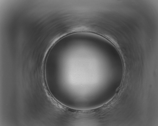 X0000052941008200507151638