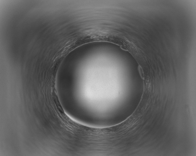 X0000052941012200507151637