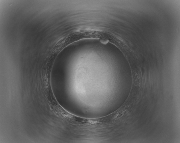 X0000052941013200507151637