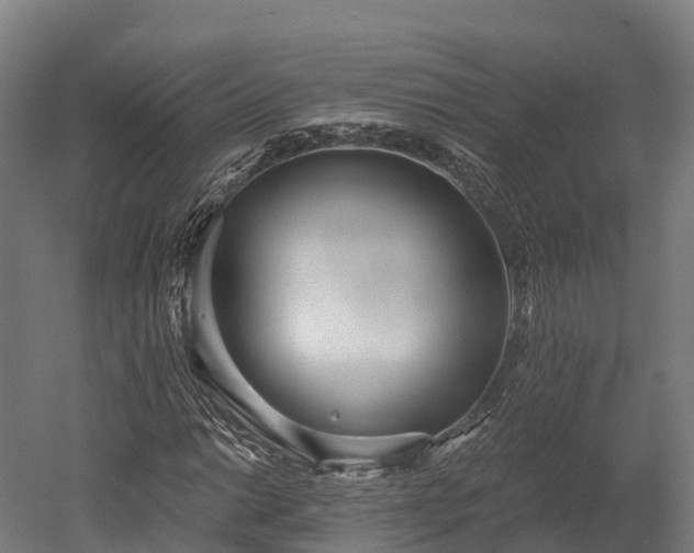 X0000052941014200507151637