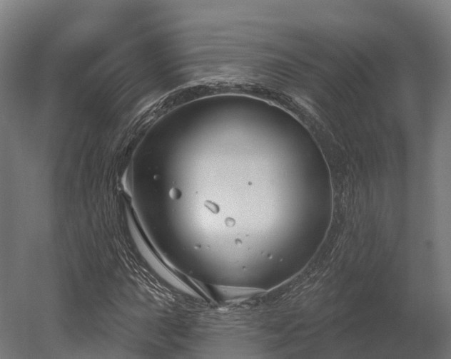 X0000052941015200507151637