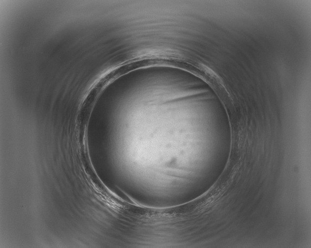 X0000052941019200507151637