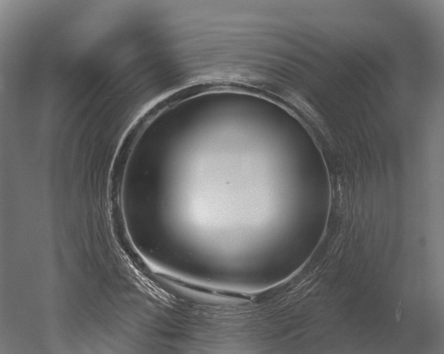 X0000052941020200507151637