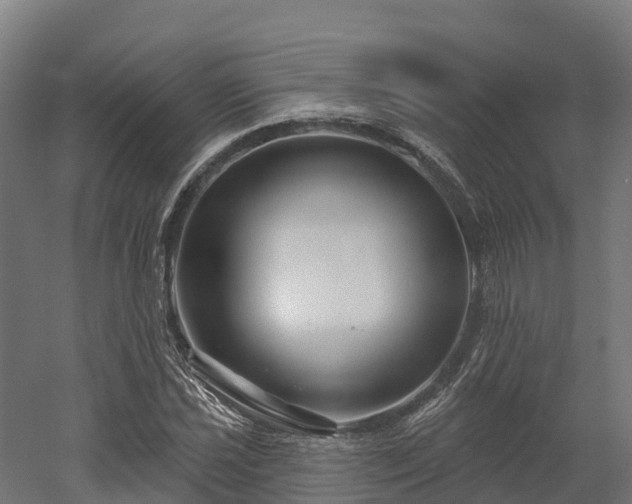 X0000052941021200507151637