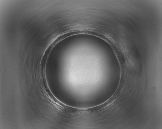 X0000052941023200507151637