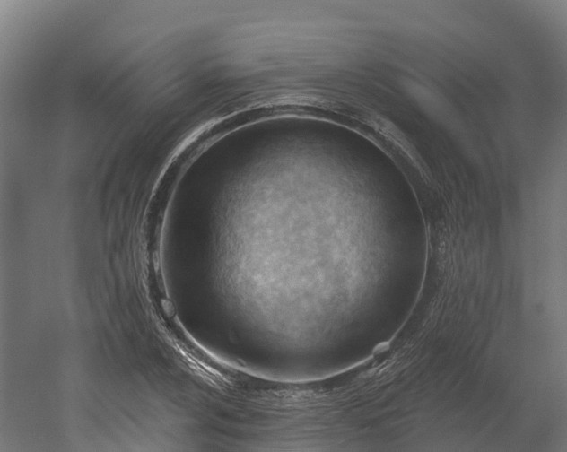 X0000052941024200507151637