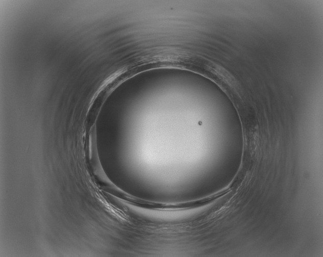 X0000052941026200507151637