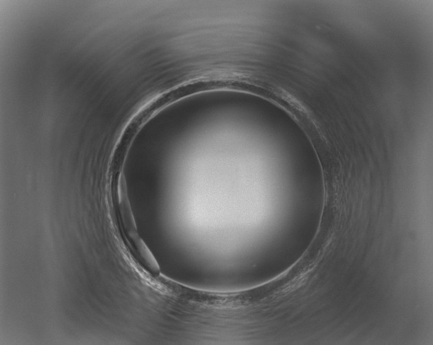 X0000052941029200507151637