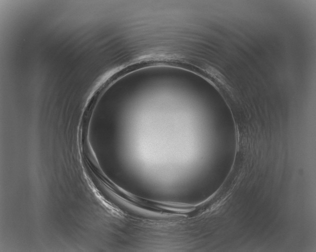 X0000052941030200507151637