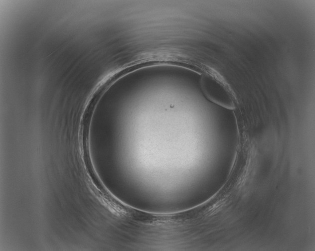 X0000052941035200507151638