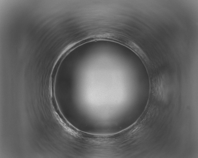 X0000052941036200507151638