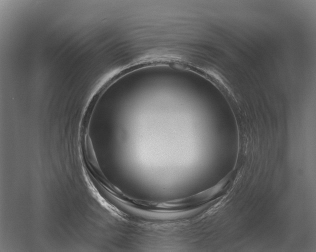 X0000052941038200507151638