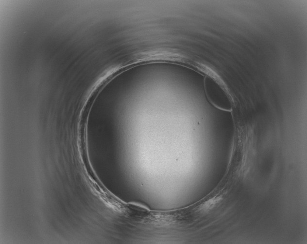 X0000052941043200507151638