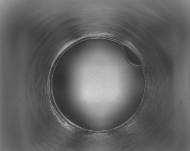 X0000052941044200507151638