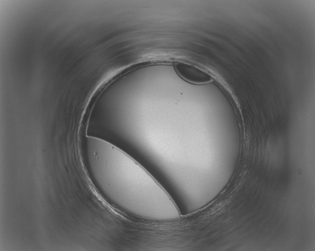 X0000052941045200507151638