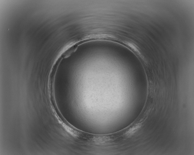 X0000052941046200507151638