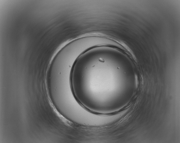 X0000052941054200507151638