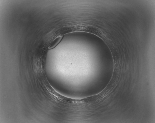 X0000052941058200507151637